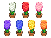 Animal Crossing All Hyacinth Plant Image