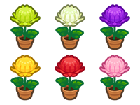 Animal Crossing All Mum Plant Image