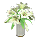 Casablanca lilies White