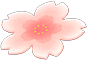 Cherry-Blossom Rug