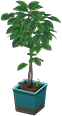 Animal Crossing Coffee plant Image