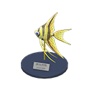 Angelfish Model