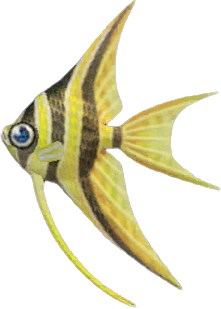 Animal Crossing Angelfish Image