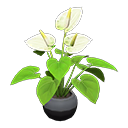 Animal Crossing Anthurium Plant|Black Image