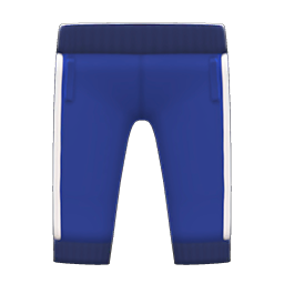 Athletic Pants Navy blue