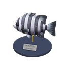 Animal Crossing Barred Knifejaw Model Image