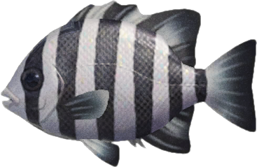 Animal Crossing Barred Knifejaw Image