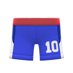 Basketball Shorts Blue