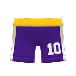 Basketball Shorts Purple