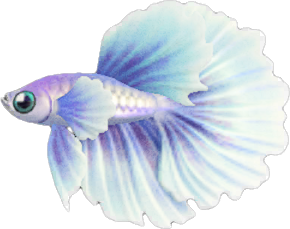 Animal Crossing Betta Image