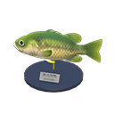 Animal Crossing Black Bass Model Image