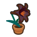 Animal Crossing Black-lily Plant Image