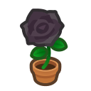 Animal Crossing Black-rose Plant Image