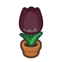 Animal Crossing Black-tulip Plant Image