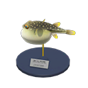 Blowfish Model
