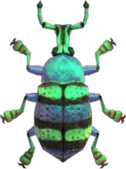 Animal Crossing Blue Weevil Beetle Image