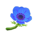 Blue Windflowers
