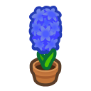 Animal Crossing Blue-hyacinth Plant Image