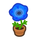 Animal Crossing Blue-windflower Plant Image