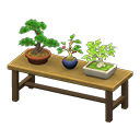 Bonsai Shelf