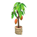 Animal Crossing Cacao Tree Image