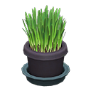 Animal Crossing Cat Grass|Black Image