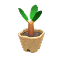 Animal Crossing Cedar Sapling Image