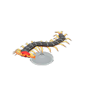 Centipede Model