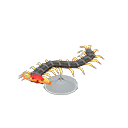 Animal Crossing Centipede Model Image