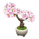 Cherry-Blossom Bonsai