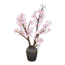 Cherry-Blossom Branches