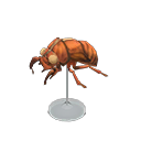 Cicada Shell Model