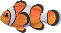 Animal Crossing Clown Fish Image