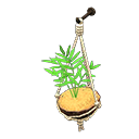 Animal Crossing Coconut Wall Planter Image