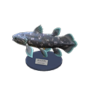 Animal Crossing Coelacanth Model Image