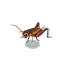 Animal Crossing Cricket Model Image