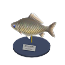 Animal Crossing Crucian Carp Model Image