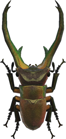 Animal Crossing Cyclommatus Stag Image
