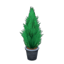 Animal Crossing Cypress Plant|Black Image