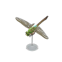 Darner Dragonfly Model