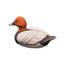 Animal Crossing Decoy Duck|Common pochard Image