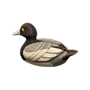 Decoy Duck Greater scaup