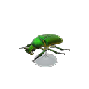 Drone Beetle Model