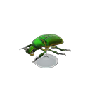 Animal Crossing Drone Beetle Model Image