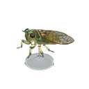 Animal Crossing Evening Cicada Model Image