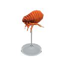 Animal Crossing Flea Model Image