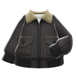 Animal Crossing New Horizons Flight Jacket Price - ACNH Items Buy ...