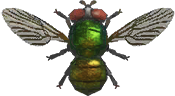 Animal Crossing Fly Image