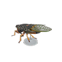 Animal Crossing Giant Cicada Model Image