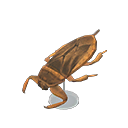 Animal Crossing Giant Water Bug Model Image